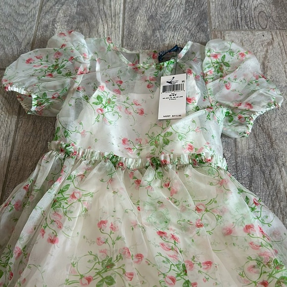 NWT POLO by Ralph Lauren dress size 4t - Picture 2 of 5
